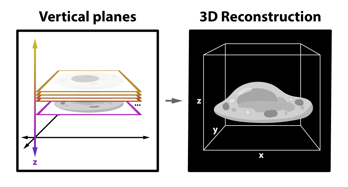 Vertical planes vs 3D Reconstruction