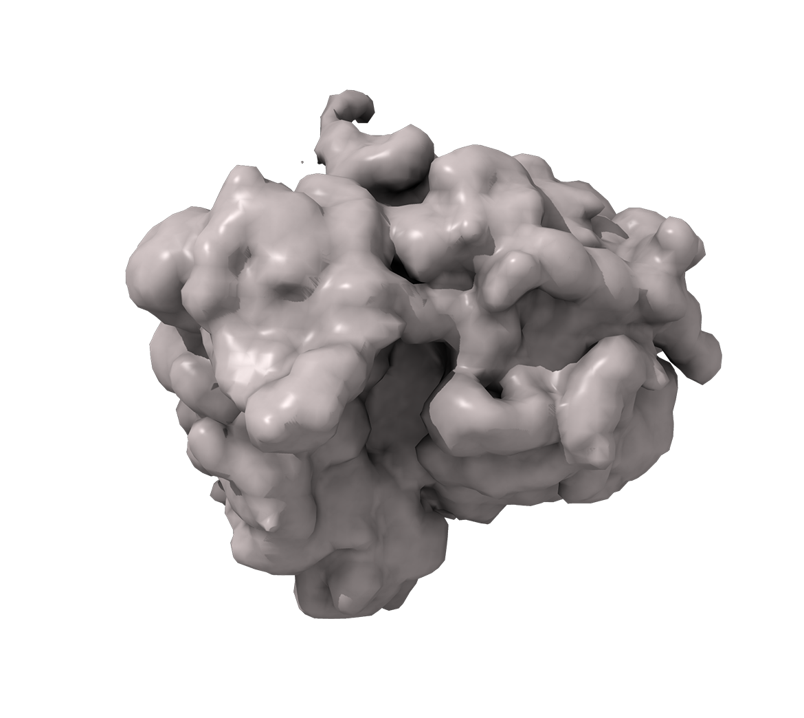 Ribosome cryo-EM