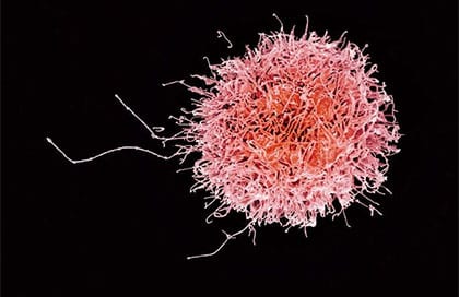 Virology & immunology