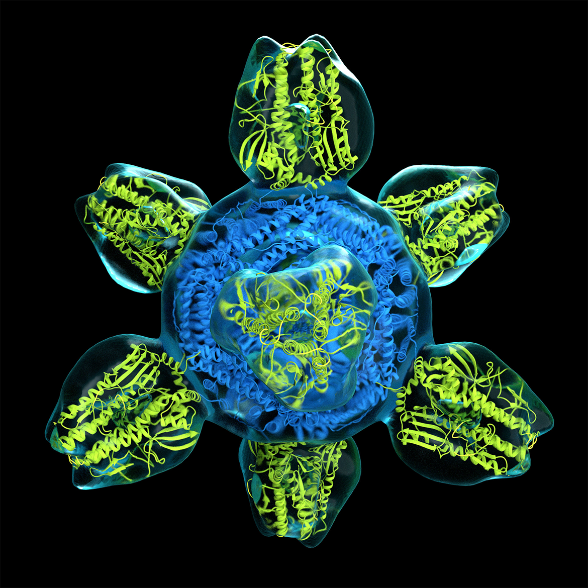 Universal flu